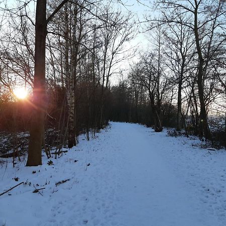 Vakantiehuis Aan Het Bos - Gelegen Aan De Tulpenroute Bant Dış mekan fotoğraf