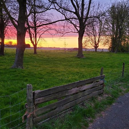 Vakantiehuis Aan Het Bos - Gelegen Aan De Tulpenroute Bant Dış mekan fotoğraf